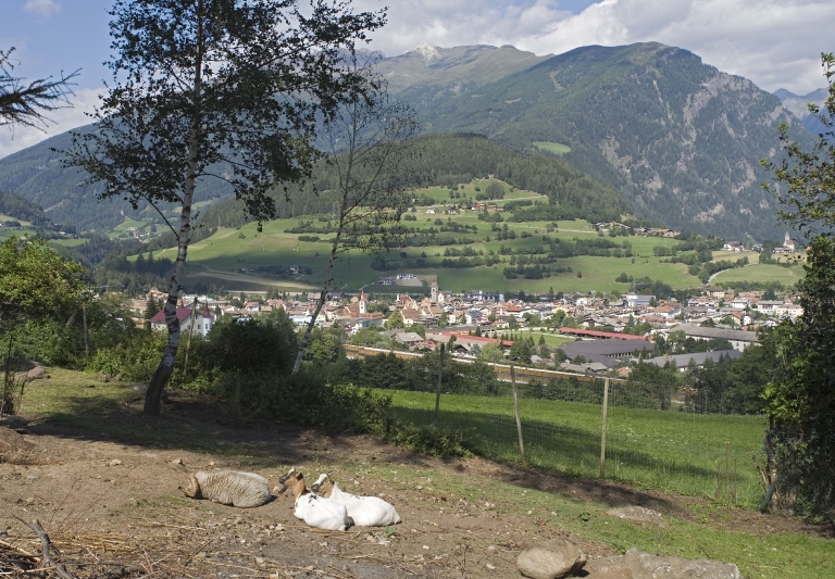 sommerurlaub_in_sterzing_20100312_1619951892